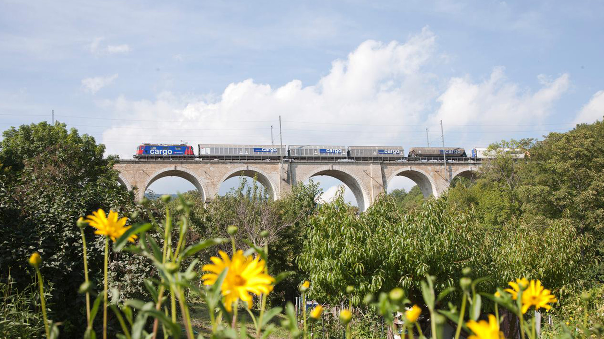 Un train de marchandises